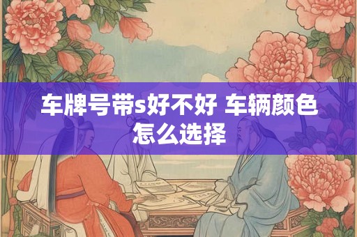 车牌号带s好不好 车辆颜色怎么选择 车牌号带s好不好 车辆颜色怎么选择