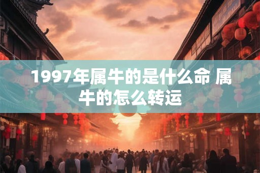 1997年属牛的是什么命 属牛的怎么转运 1997年属牛的是什么命 属牛的怎么转运