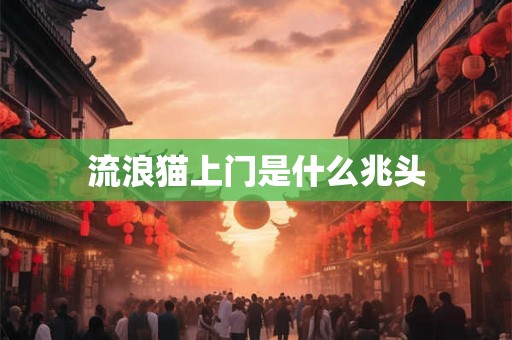 流浪猫上门是什么兆头 流浪猫上门是什么兆头
