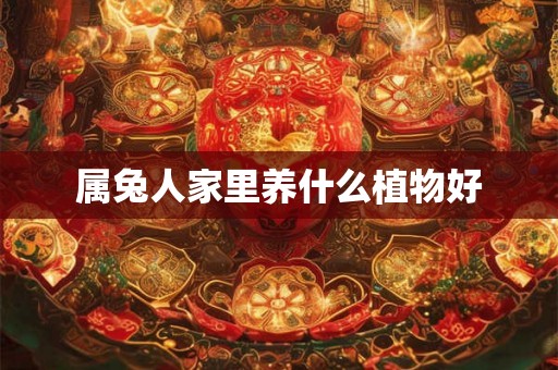 属兔人家里养什么植物好 属兔人家里养什么植物好