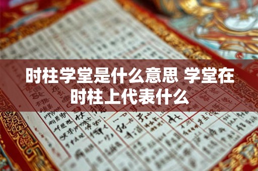 时柱学堂是什么意思 学堂在时柱上代表什么 时柱学堂是什么意思 学堂在时柱上代表什么