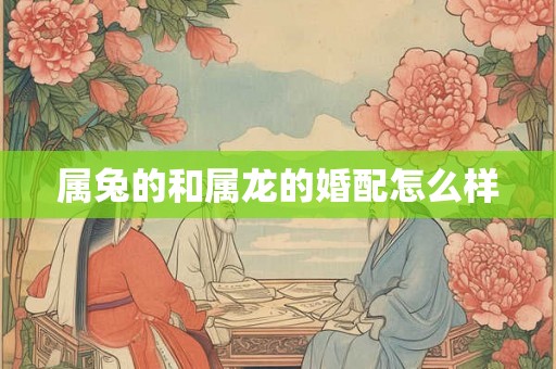 属兔的和属龙的婚配怎么样