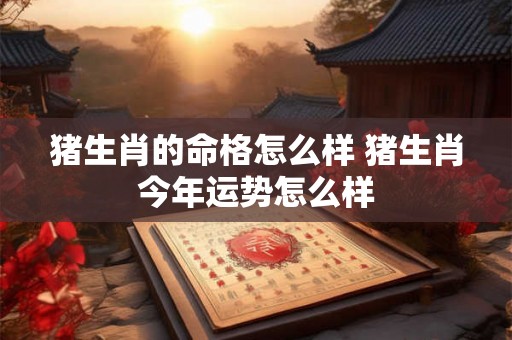 猪生肖的命格怎么样 猪生肖今年运势怎么样 猪生肖的命格怎么样 猪生肖今年运势怎么样