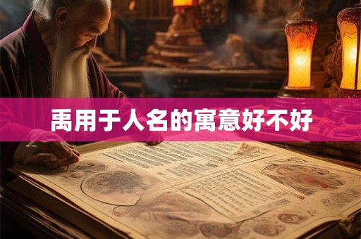 禹用于人名的寓意好不好 禹用于人名的寓意好不好