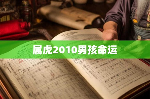 属虎2010男孩命运