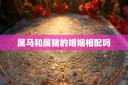 属马和属猪的婚姻相配吗 属马和属猪的婚姻相配吗