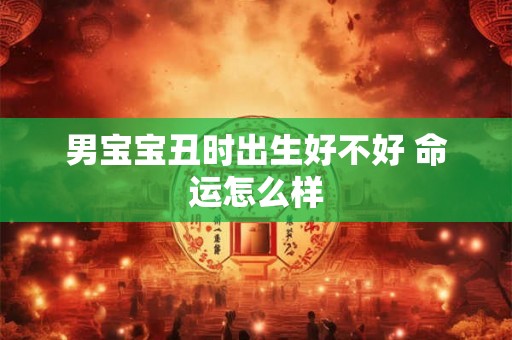 男宝宝丑时出生好不好 命运怎么样 男宝宝丑时出生好不好 命运怎么样