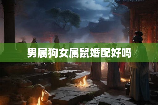 男属狗女属鼠婚配好吗