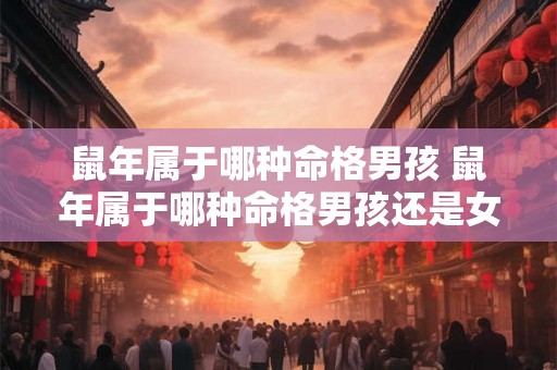 鼠年属于哪种命格男孩 鼠年属于哪种命格男孩还是女孩 鼠年属于哪种命格男孩 鼠年属于哪种命格男孩还是女孩