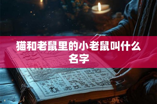 猫和老鼠里的小老鼠叫什么名字 猫和老鼠里的小老鼠叫什么名字