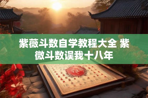 紫薇斗数自学教程大全 紫微斗数误我十八年 紫薇斗数自学教程大全 紫微斗数误我十八年