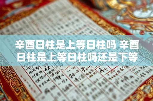 辛酉日柱是上等日柱吗 辛酉日柱是上等日柱吗还是下等 辛酉日柱是上等日柱吗 辛酉日柱是上等日柱吗还是下等