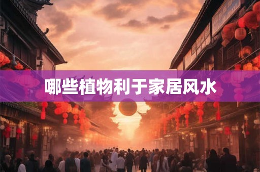 哪些植物利于家居风水