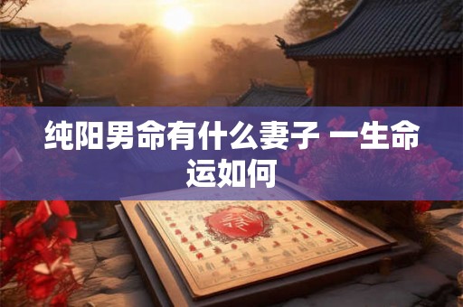 纯阳男命有什么妻子 一生命运如何 纯阳男命有什么妻子 一生命运如何