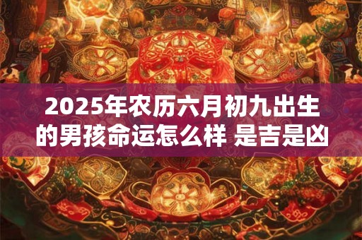 2025年农历六月初九出生的男孩命运怎么样 是吉是凶 2025年农历六月初九出生的男孩命运怎么样 是吉是凶