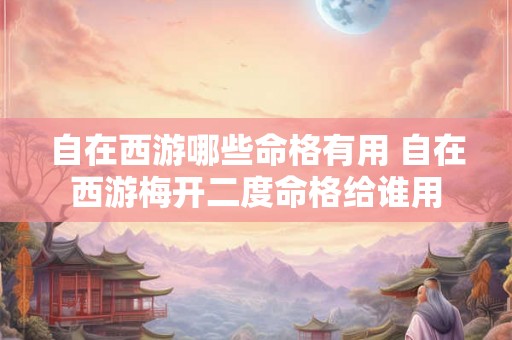 自在西游哪些命格有用 自在西游梅开二度命格给谁用 自在西游哪些命格有用 自在西游梅开二度命格给谁用