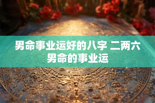 男命事业运好的八字 二两六男命的事业运 男命事业运好的八字 二两六男命的事业运
