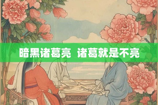 暗黑诸葛亮 诸葛就是不亮 暗黑诸葛亮 诸葛就是不亮