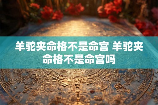 羊驼夹命格不是命宫 羊驼夹命格不是命宫吗 羊驼夹命格不是命宫 羊驼夹命格不是命宫吗