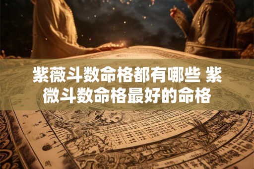 紫薇斗数命格都有哪些 紫微斗数命格最好的命格 紫薇斗数命格都有哪些 紫微斗数命格最好的命格