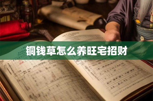 铜钱草怎么养旺宅招财