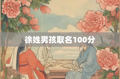 徐姓男孩取名100分 徐姓男孩取名100分