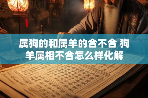 属狗的和属羊的合不合 狗羊属相不合怎么样化解