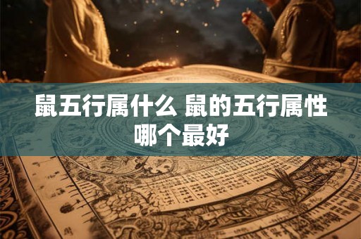 鼠五行属什么 鼠的五行属性哪个最好 鼠五行属什么 鼠的五行属性哪个最好