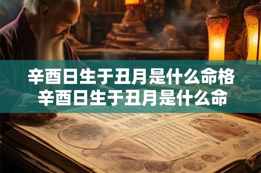 辛酉日生于丑月是什么命格 辛酉日生于丑月是什么命格的人 辛酉日生于丑月是什么命格 辛酉日生于丑月是什么命格的人