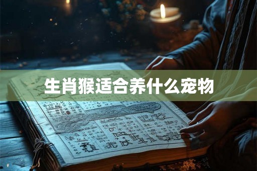生肖猴适合养什么宠物 生肖猴适合养什么宠物
