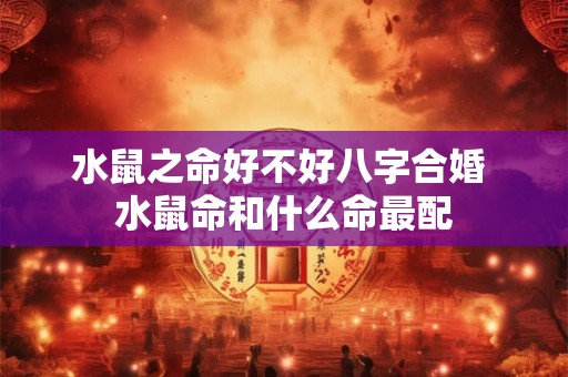 水鼠之命好不好八字合婚 水鼠命和什么命最配 水鼠之命好不好八字合婚 水鼠命和什么命最配