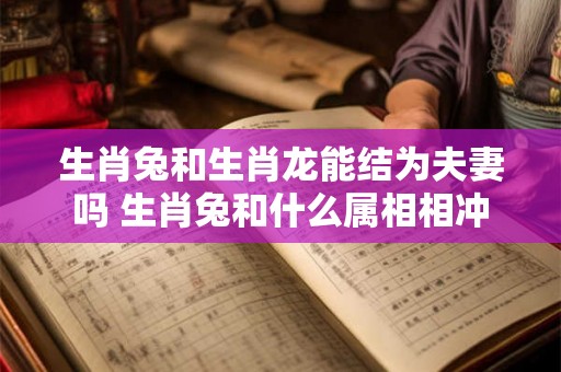 生肖兔和生肖龙能结为夫妻吗 生肖兔和什么属相相冲 生肖兔和生肖龙能结为夫妻吗 生肖兔和什么属相相冲
