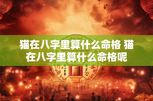 猫在八字里算什么命格 猫在八字里算什么命格呢