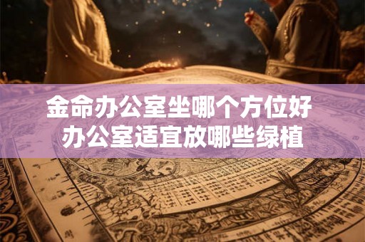 金命办公室坐哪个方位好 办公室适宜放哪些绿植 金命办公室坐哪个方位好 办公室适宜放哪些绿植