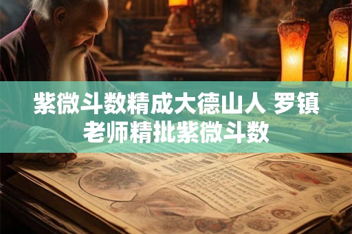 紫微斗数精成大德山人 罗镇老师精批紫微斗数 紫微斗数精成大德山人 罗镇老师精批紫微斗数