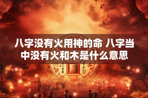 八字没有火用神的命 八字当中没有火和木是什么意思