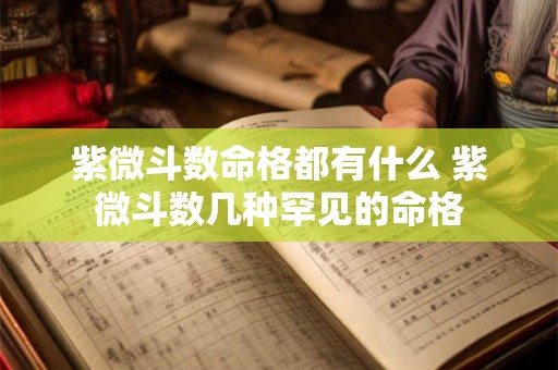 紫微斗数命格都有什么 紫微斗数几种罕见的命格 紫微斗数命格都有什么 紫微斗数几种罕见的命格