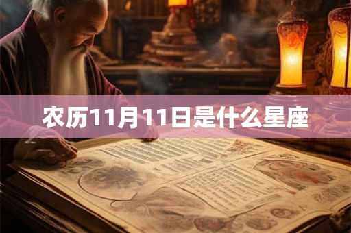 农历11月11日是什么星座 农历11月11日是什么星座