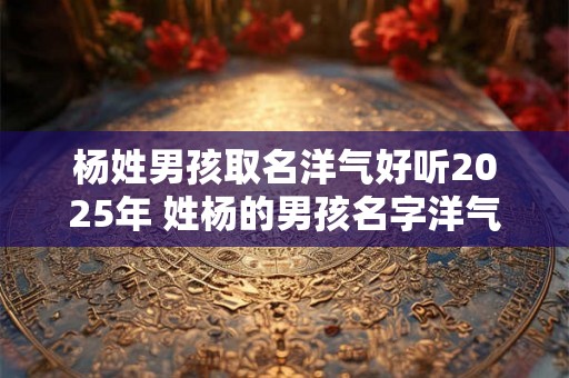 杨姓男孩取名洋气好听2025年 姓杨的男孩名字洋气点 杨姓男孩取名洋气好听2025年 姓杨的男孩名字洋气点