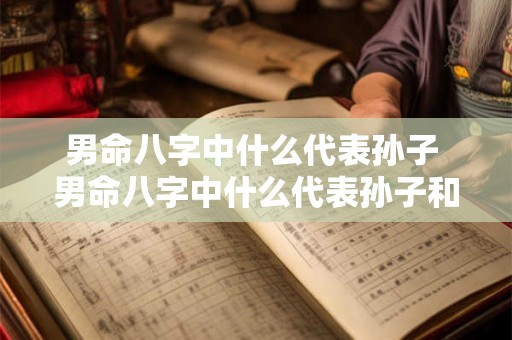 男命八字中什么代表孙子 男命八字中什么代表孙子和孙女