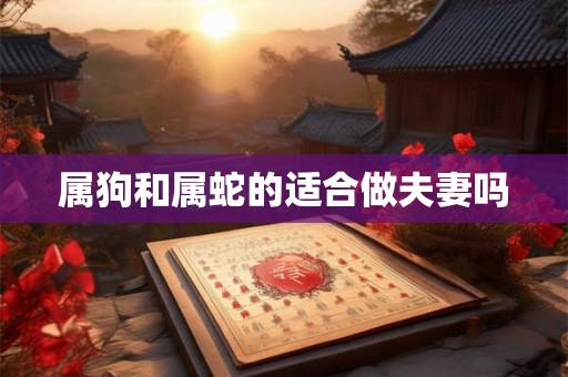属狗和属蛇的适合做夫妻吗 属狗和属蛇的适合做夫妻吗