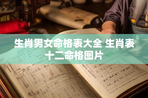 生肖男女命格表大全 生肖表十二命格图片