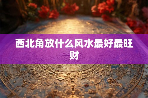 西北角放什么风水最好最旺财