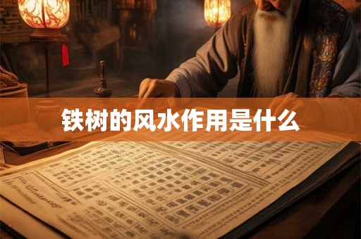 铁树的风水作用是什么