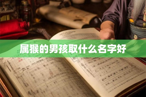 属猴的男孩取什么名字好 属猴的男孩取什么名字好