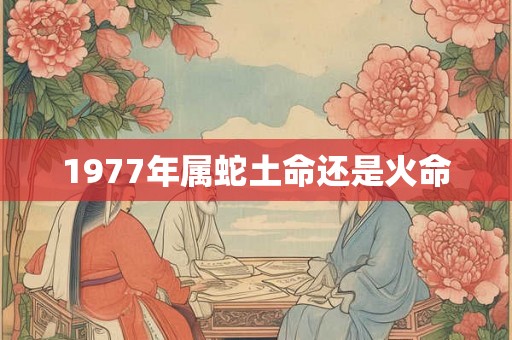 1977年属蛇土命还是火命 1977年属蛇土命还是火命