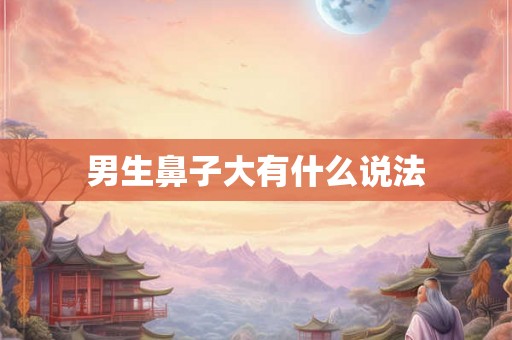 男生鼻子大有什么说法