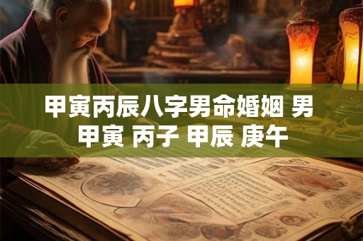 甲寅丙辰八字男命婚姻 男 甲寅 丙子 甲辰 庚午 甲寅丙辰八字男命婚姻 男 甲寅 丙子 甲辰 庚午