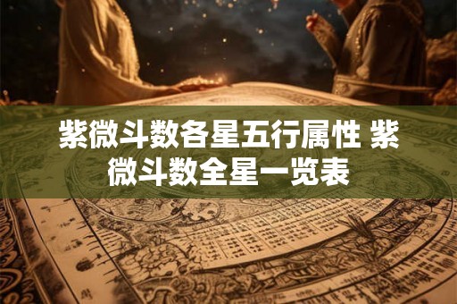 紫微斗数各星五行属性 紫微斗数全星一览表 紫微斗数各星五行属性 紫微斗数全星一览表