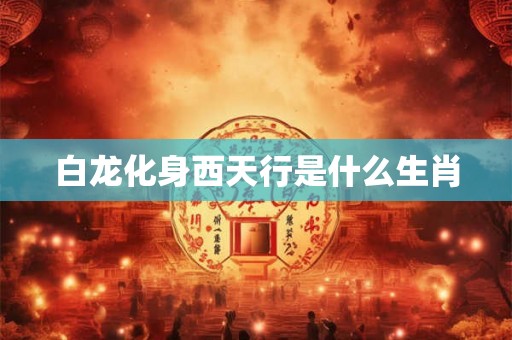 白龙化身西天行是什么生肖
